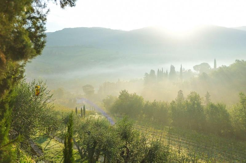 Bed and Breakfast Terre Di Baccio