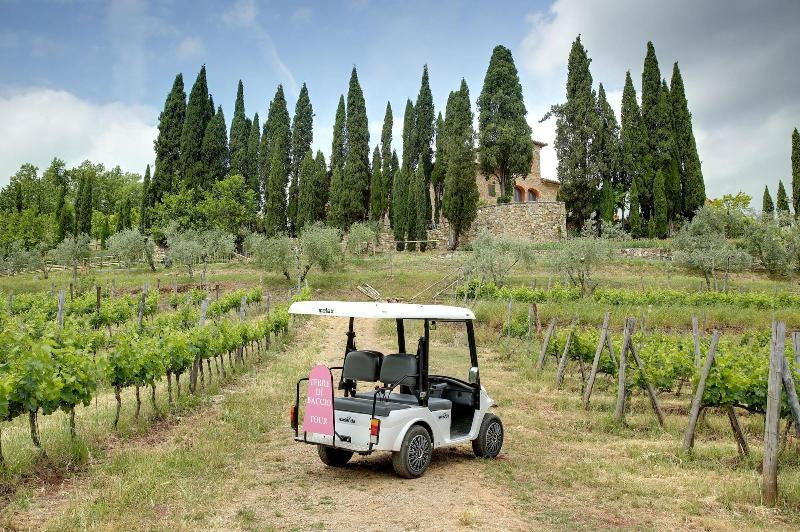 Bed and Breakfast Terre Di Baccio