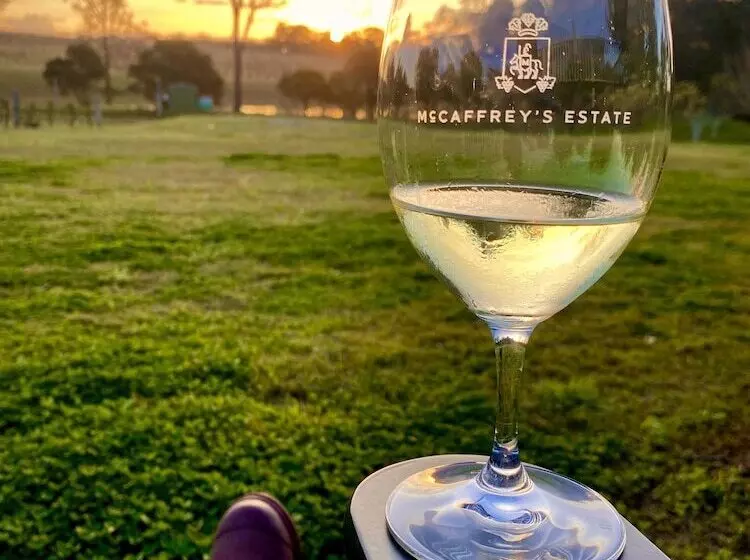 پانسیون Mccaffrey's Estate