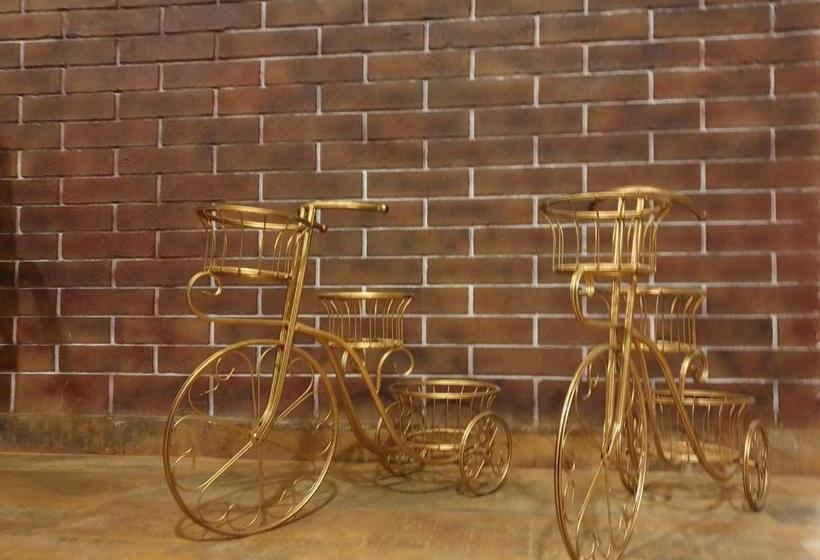 فندق Celebrations Vagator Goa