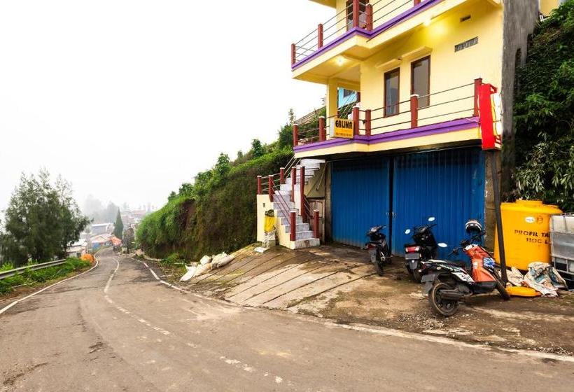 ホテル Oyo 2957 Erlina Homestay