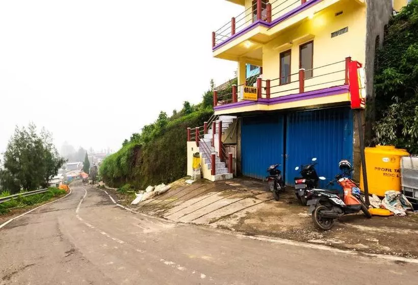 ホテル Oyo 2957 Erlina Homestay