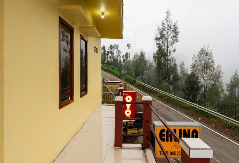 ホテル Oyo 2957 Erlina Homestay