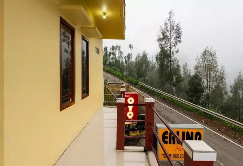 ホテル Oyo 2957 Erlina Homestay