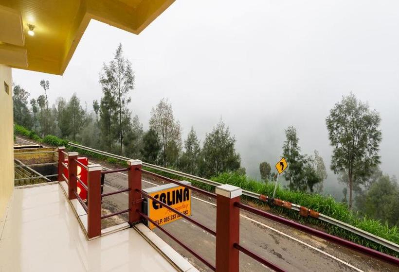 ホテル Oyo 2957 Erlina Homestay