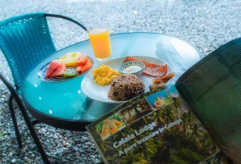 تختخواب و صبحانه Villas Orosi Valley Lodge