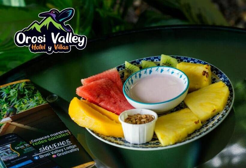 تختخواب و صبحانه Villas Orosi Valley Lodge