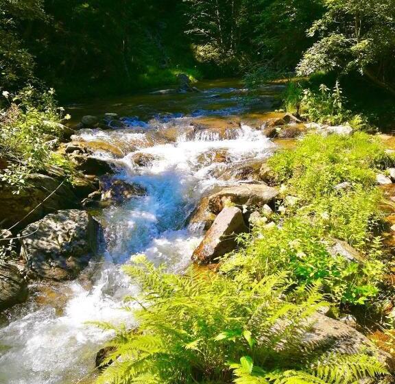 膳宿费 Family Hotel Byalata Kashta