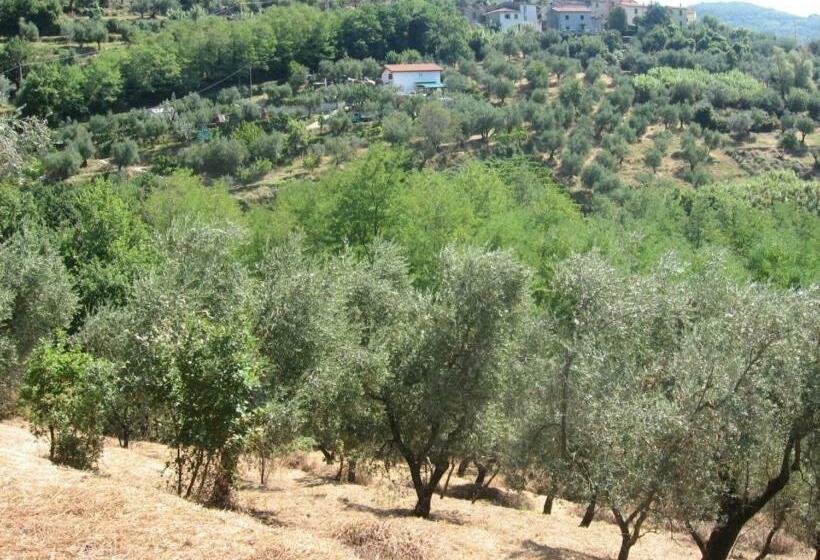 پانسیون Le Forri Società Agricola