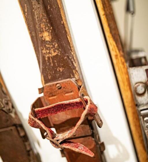 Roomie Alps Design Hostel