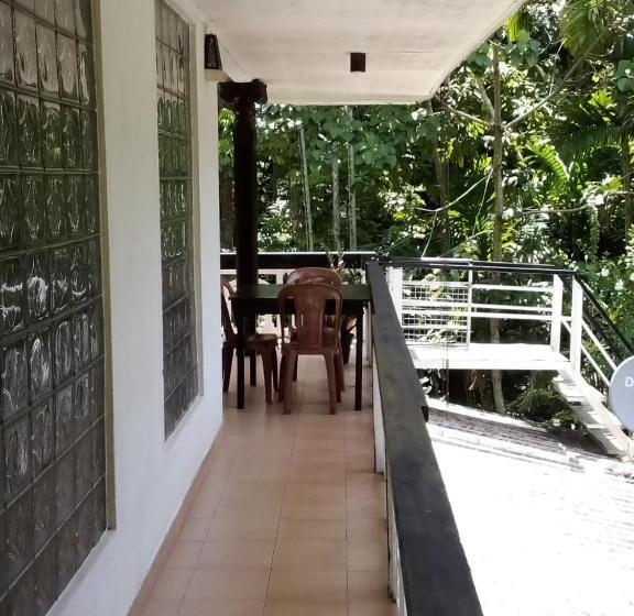 Общежитие Green Turf