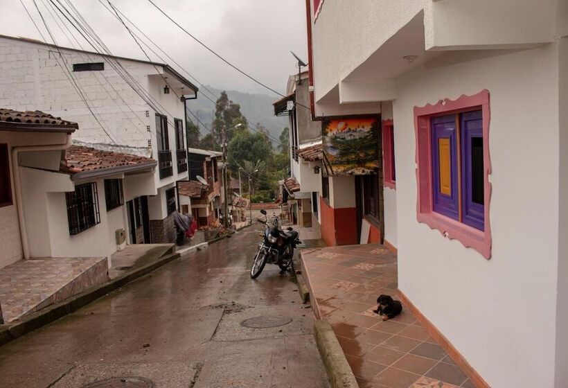 Herberge Hostal Palmas De Cocora