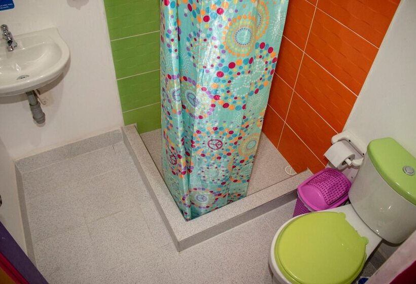 Herberge Hostal Palmas De Cocora