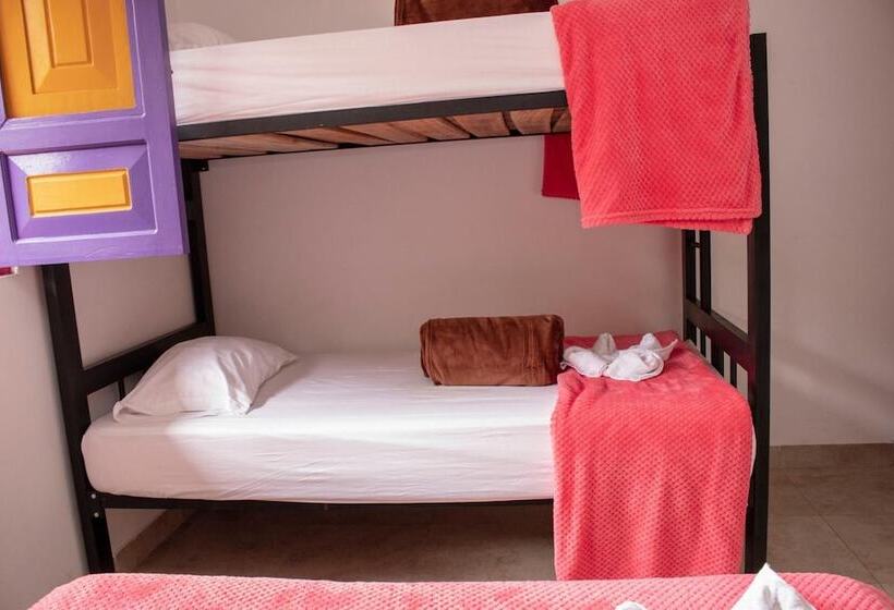 Herberge Hostal Palmas De Cocora