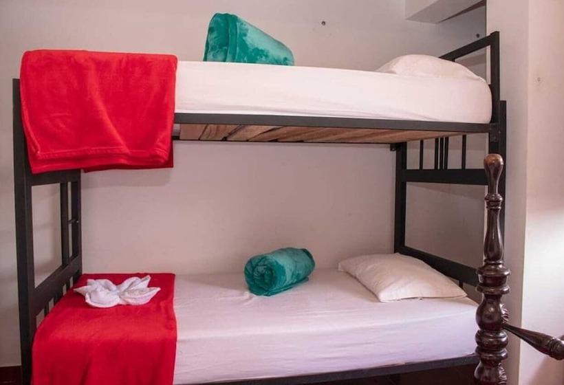 Herberge Hostal Palmas De Cocora