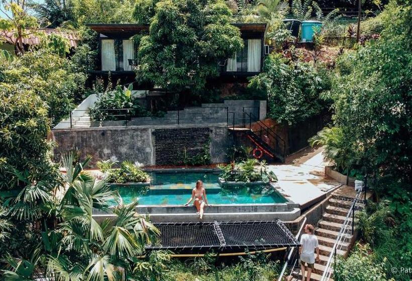 Bed and Breakfast Costeño River Minca