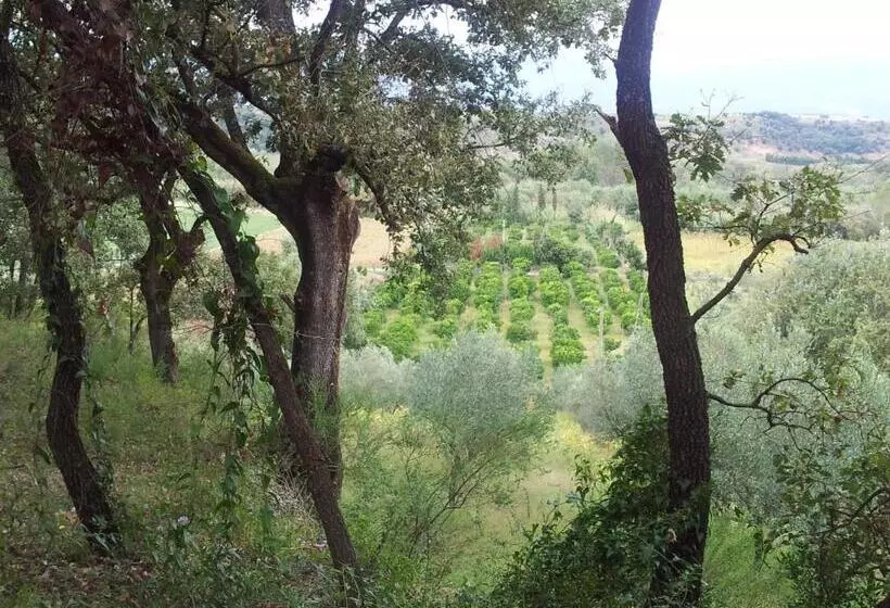 هتل Agriturismo Il Casotto