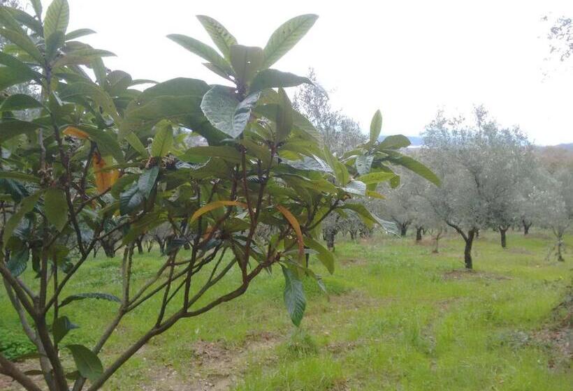 호텔 Agriturismo Il Casotto