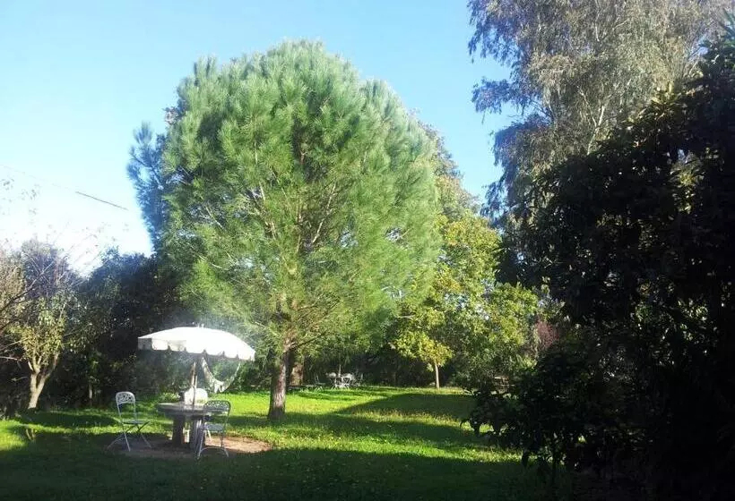 هتل Agriturismo Il Casotto