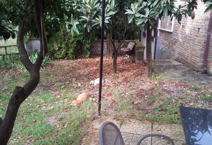 호텔 Agriturismo Il Casotto