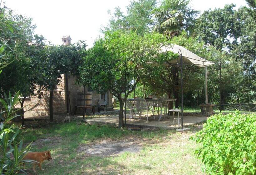 호텔 Agriturismo Il Casotto