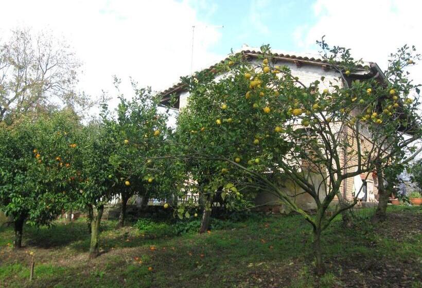 호텔 Agriturismo Il Casotto