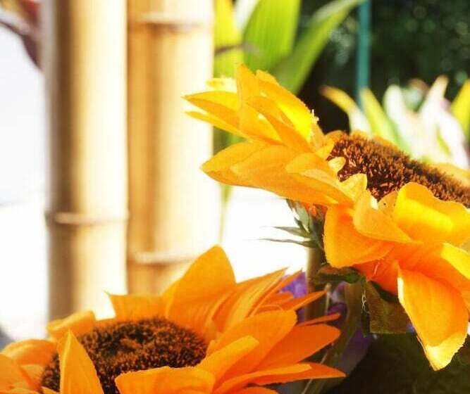 هتل Casa Nelly Apartamentos