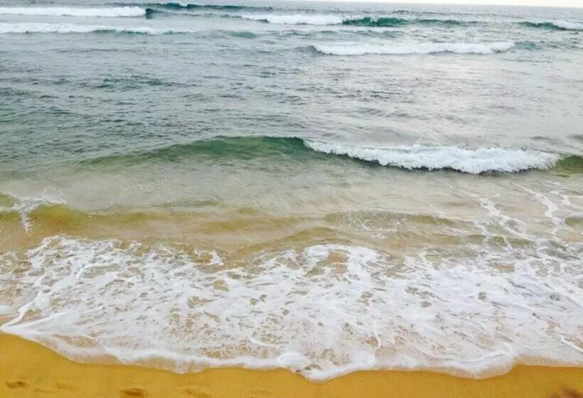 Majatalo New Sea Lion Guest House