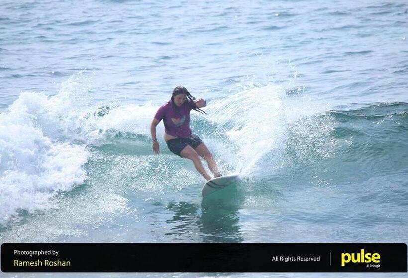 Pension New Sea Lion Guest House