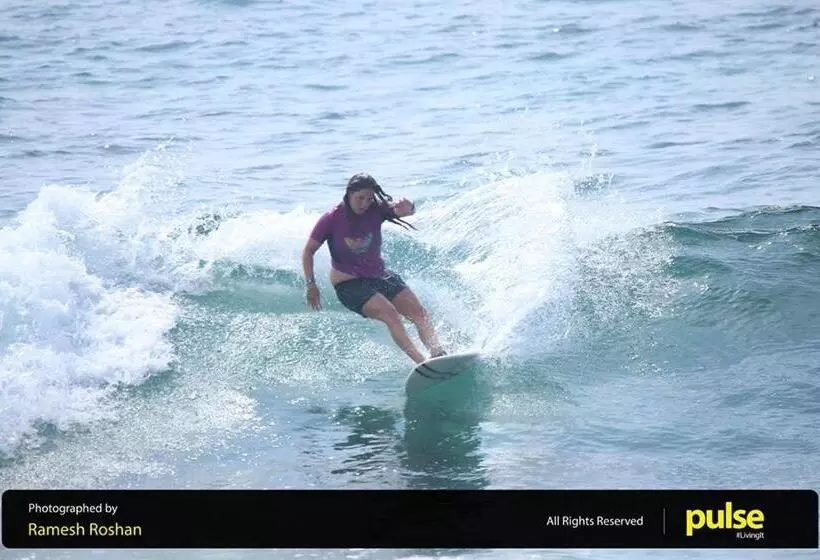 Majatalo New Sea Lion Guest House