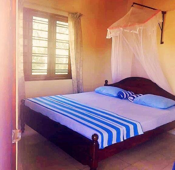 Pension New Sea Lion Guest House