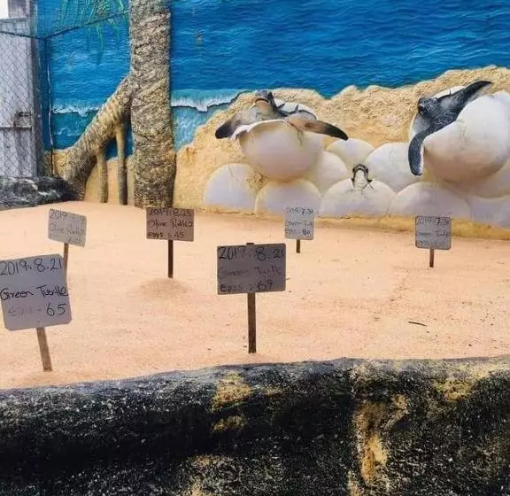 Majatalo New Sea Lion Guest House