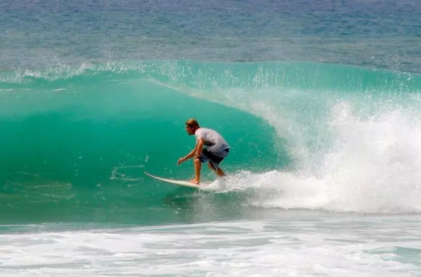 Majatalo New Sea Lion Guest House