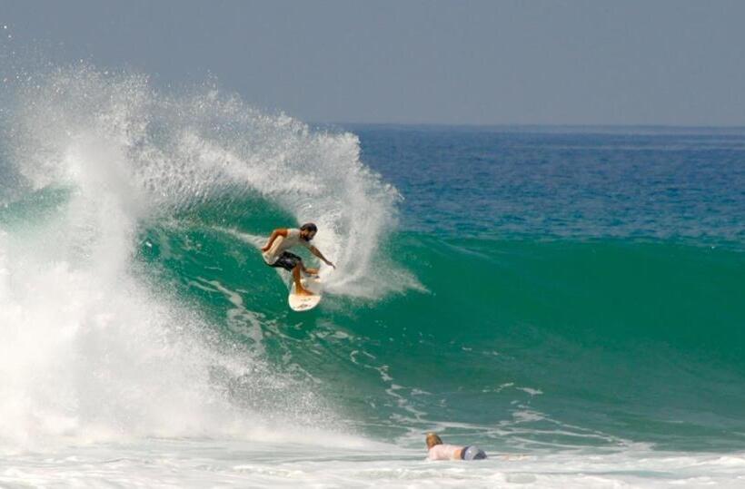 Pension New Sea Lion Guest House