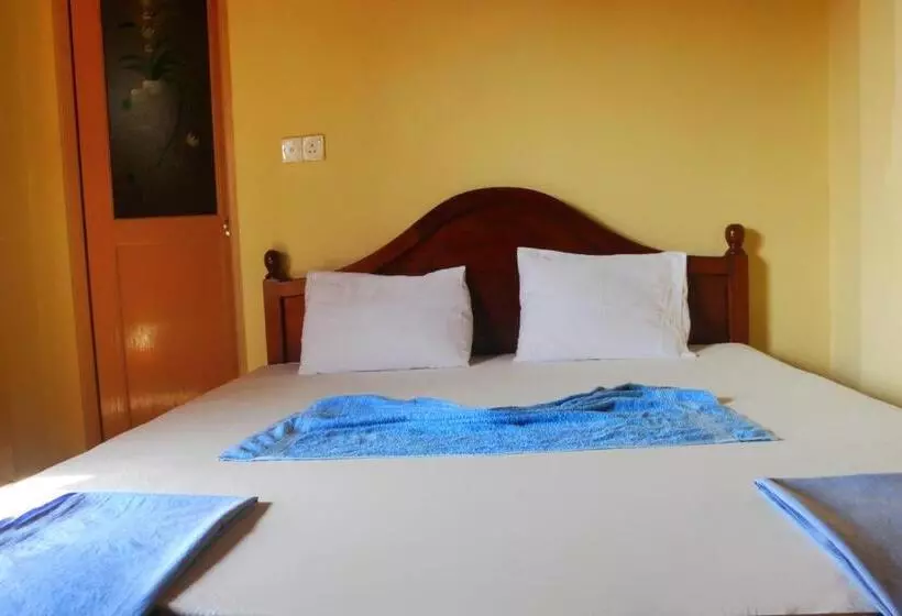 Majatalo New Sea Lion Guest House