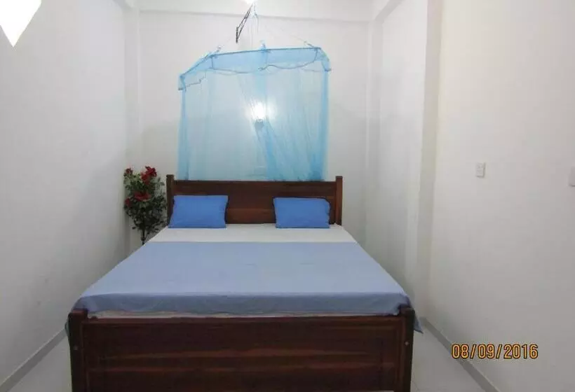 Majatalo New Sea Lion Guest House