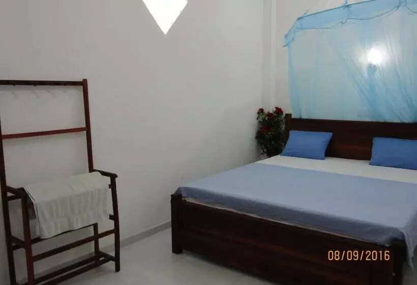 Majatalo New Sea Lion Guest House