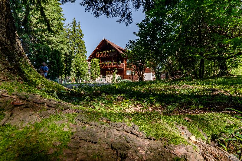 פנסיון Vila Zorile