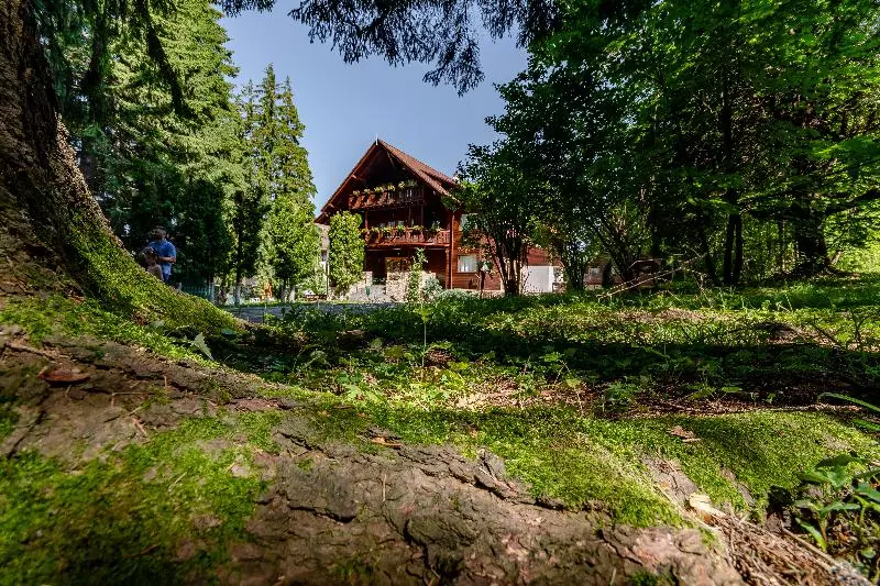 Majatalo Vila Zorile