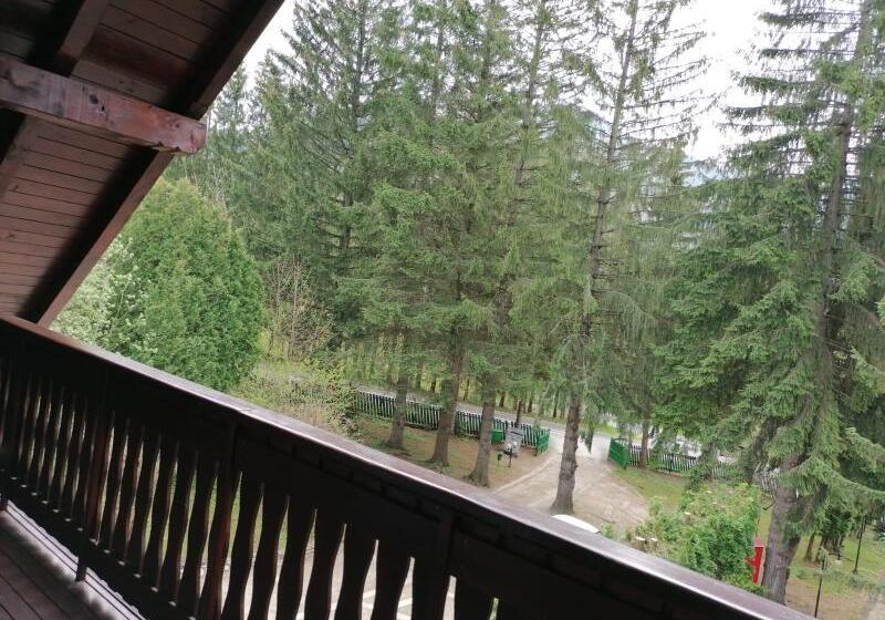 פנסיון Vila Zorile