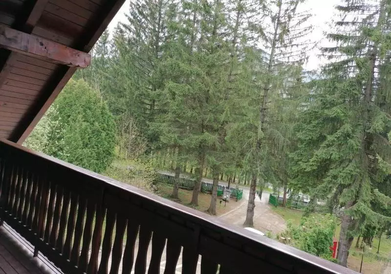 Majatalo Vila Zorile