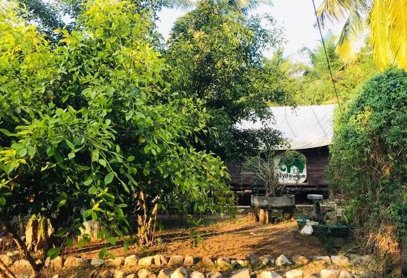 هاستل Aliya Riverside & Safari Resort