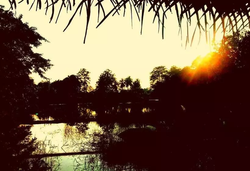 هاستل Aliya Riverside & Safari Resort