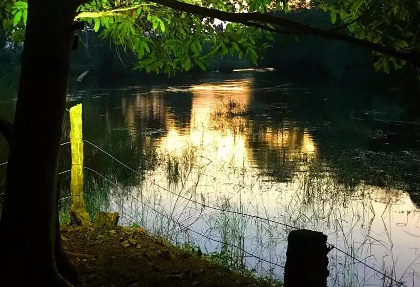 هاستل Aliya Riverside & Safari Resort