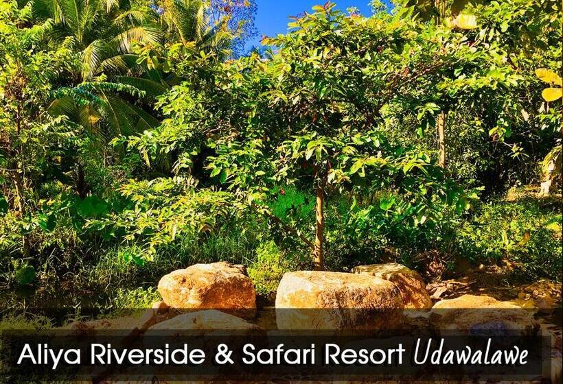 Общежитие Aliya Riverside & Safari Resort