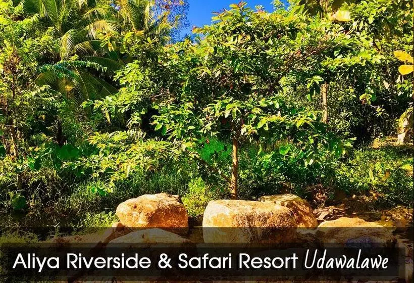 هاستل Aliya Riverside & Safari Resort