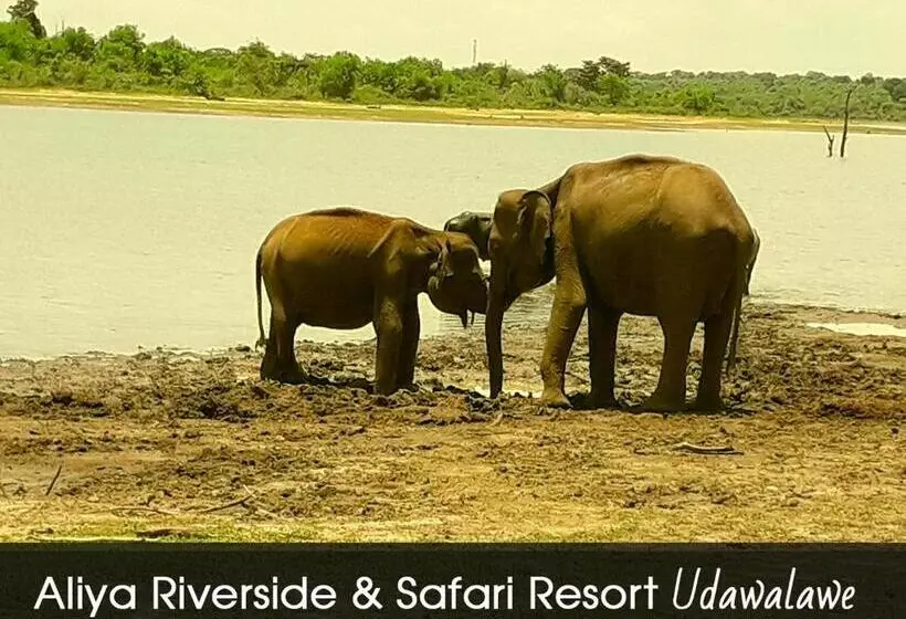 هاستل Aliya Riverside & Safari Resort
