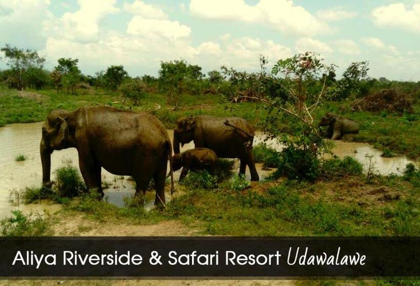 Общежитие Aliya Riverside & Safari Resort