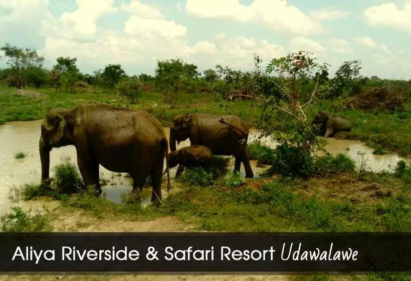 هاستل Aliya Riverside & Safari Resort
