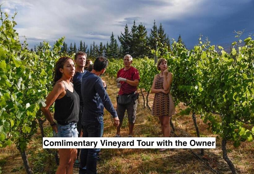 مبيت وإفطار Grey Ridge Vineyard Experience